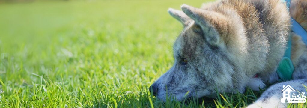 楽な暮らしは人生を充実させる資源